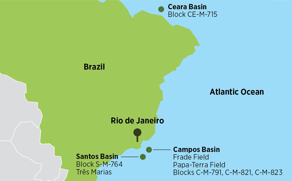 Brazil assets